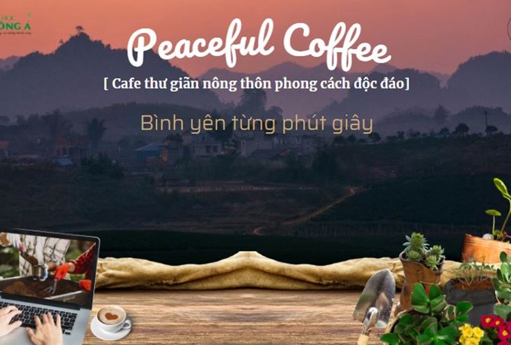 Dự án: Peaceful Coffee - Cafe thư giãn nông thôn phong cách độc đáo